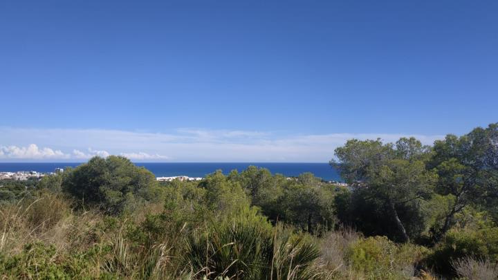 El Grup Ecologista del Vendrell adverteix que la urbanització del sector Masos Oest és una 