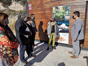 El Montmell ja escalfa els seus equipaments municipals amb biomassa forestal. Diputació de Tarragona