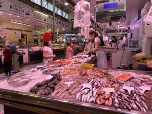 El relleu generacional i la identificació dels productes locals al mercat, reptes del sector primari de Vilanova i la Geltrú. EIX