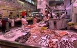 El relleu generacional i la identificació dels productes locals al mercat, reptes del sector primari de Vilanova i la Geltrú. EIX