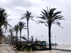 El temporal Glòria deixa sentir els seus efectes al passeig marítim de Cubelles