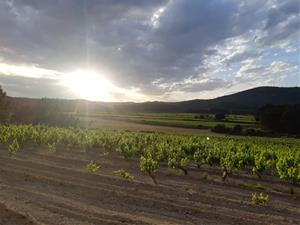 Els Comuns del Penedès reclamen al govern que es reactivi de forma urgent el Pla Territorial del Penedès. Penedès en comú