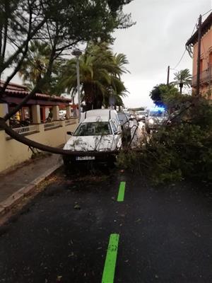 Els efectes del temporal de vent i pluja a Vilanova i la Geltrú