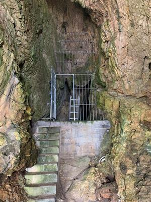 Finalitzen els treballs de protecció als accessos de la Cova del Gegant de Sitges. Ajuntament de Sitges