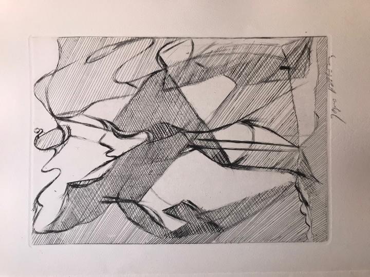 Gravat de Jacques Villon, germà de Marcel Duchamp. EIX