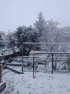 Imatge de neu a Horta de Sant Joan el 20 de gener del 2020. ACN