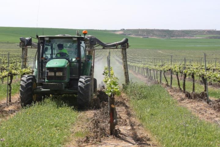 Imatge dels treballs en una finca de vinya. GRAP-UdL