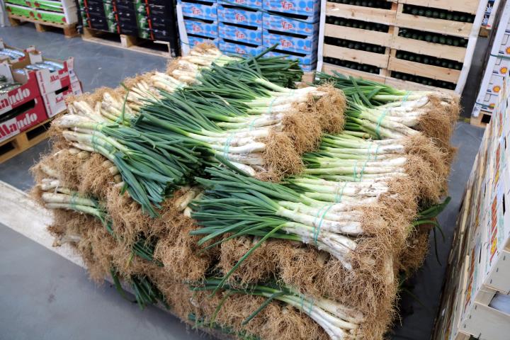 Imatge d'un palet de calçots a Mercabarna el 19 de febrer de 2020. ACN