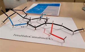 Investigadors de la UPC identifiquen 16 nous components del cànnabis. UPC