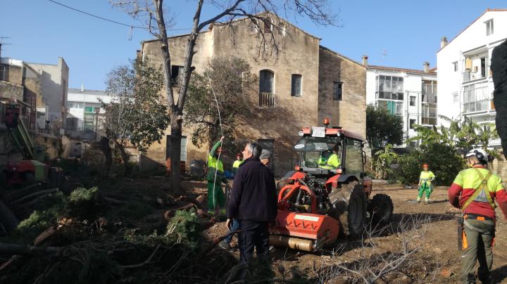 La caiguda d'un xiprer deixa a la vista una masia del s. XVIII en ple nucli antic de Vilanova. Jordi Lleó