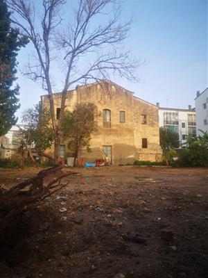 La caiguda d'un xiprer deixa a la vista una masia del s. XVIII en ple nucli antic de Vilanova