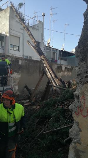 La caiguda d'un xiprer deixa a la vista una masia del s. XVIII en ple nucli antic de Vilanova