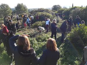 La festa de l'arbre de Canyelles planta 35 alzines al camí del cementiri