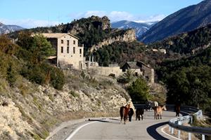 La Fundació Miranda deixa la finca arrendada a Coll de Nargó on tenia 45 cavalls recuperats