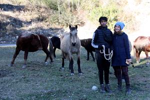 La Fundació Miranda deixa la finca arrendada a Coll de Nargó on tenia 45 cavalls recuperats