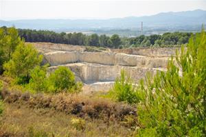 La plataforma cívica CAPEC presenta al·legacions contra l’ampliació de la pedrera de l’Arboç