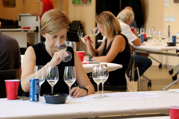 La quota de mercat dels vins amb DO catalana creix fins el 41,3%. ACN