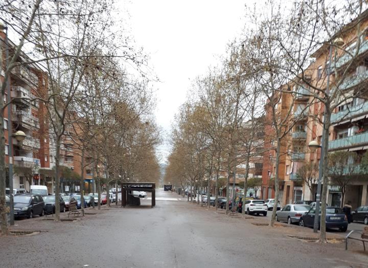 La rambla de la Girada de Vilafranca acollirà diàriament dues parades de fruita i verdura de productors de la terra. Ajuntament de Vilafranca