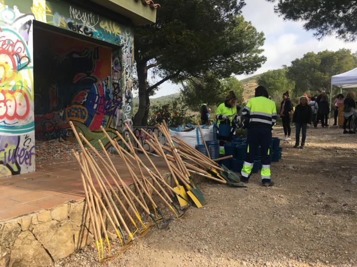 L’Ajuntament de Calafell treu a licitació les obres del refugi de gats. Ajuntament de Calafell