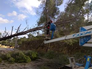 L’Ajuntament d’Olivella invertirà de forma urgent 176.000 euros per restablir la normalitat després del temporal. Ajuntament d'Olivella