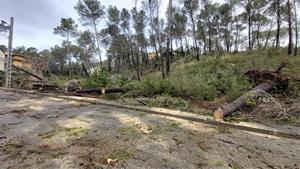 L’Ajuntament d’Olivella invertirà de forma urgent 176.000 euros per restablir la normalitat després del temporal