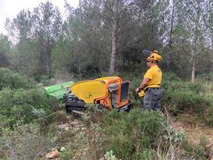 L'Alt Penedès fa treballs de desbrossament al parc del Foix per implementar la silvopastura. CC Alt Penedès