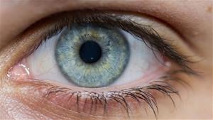 L'Institut Català de Retina activa un protocol per detectar si persones amb conjuntivitis tenen coronavirus. Institut Català de Retina