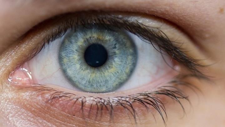 L'Institut Català de Retina activa un protocol per detectar si persones amb conjuntivitis tenen coronavirus. Institut Català de Retina