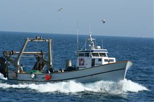 Malestar a Calafell per una decisió de la Generalitat que posa en perill la supervivència de la Confraria de Pescadors. Ajuntament de Calafell