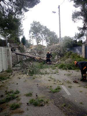 Olivella estima en 185.000 euros el cost de restablir la normalitat després del temporal Glòria