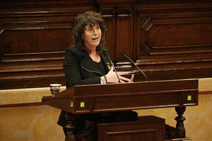 Pla americà de la consellera d'Agricultura, Teresa Jordà, intervenint al ple del Parlament del dia 11 de febrer de 2020. ACN