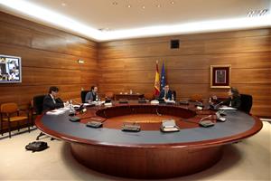Pla general de la reunió del Consell de Ministres encapçalada pel president del govern espanyol, Pedro Sánchez, el 28 d'abril del 2020. Pool Moncloa/ 