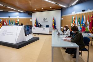 Pla general de la reunió telemàtica del Consell Interterritorial de Salut, el 16 de desembre de 2020. Pool Moncloa