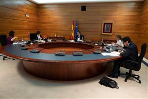 Pla general del Consell de Ministres d'aquest 26 de maig del 2020. Pool Moncloa 