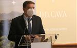 Pla mitjà del ministre d'Agricultura, Luis Planas, en roda de premsa a la seu de la DO Cava, el 19 de novembre del 2020. ACN
