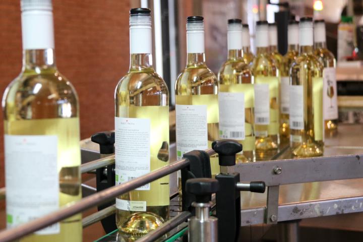 Pla obert de la línia d'embotellament del celler Albet i Noya, de la DO Penedès, amb ampolles de vi blanc. ACN