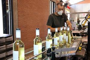 Pla obert de la línia d'embotellament d'un celler de la DO Penedès, amb un treballador amb mascareta. ACN