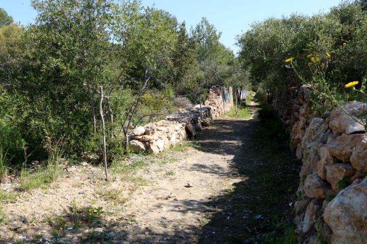 Pla obert d'un tram del camí ramader recuperat a Vilanova i la Geltrú en el marc de la recuperació de la zona verda de l'Ortoll. ACN