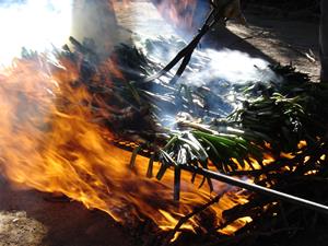 Pla tancat de calçots coent-se en una graella sobre flama viva en un restaurant de Valls. ACN