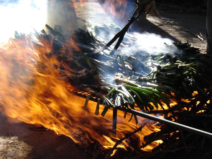 Pla tancat de calçots coent-se en una graella sobre flama viva en un restaurant de Valls. ACN