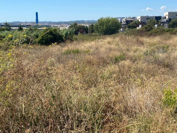 Presó per al presumpte autor d'una estrebada a Vilanova. Policia local de Vilanova