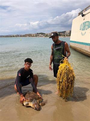 Rescaten a Calafell una tortuga babaua atrapada en unes xarxes abandonades