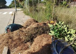 Restes de poda a un dels carrers del Vendrell. Eix