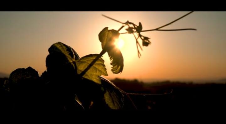 Rússia premia l'audiovisual “DO Penedès 2.700 anys d'història”. EIX