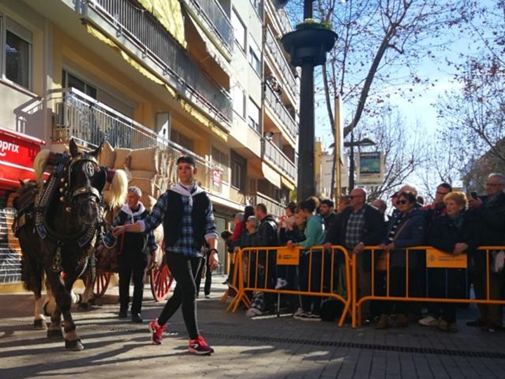 Sant Antoni omple Vilanova de cavalls, carros i carruatges i esperit de tradició. Ajuntament de Vilanova