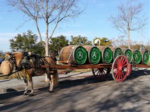 Sant Antoni omple Vilanova de cavalls, carros i carruatges i esperit de tradició