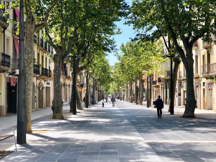 Sant Jordi es trasllada a les xarxes i els balcons. EIX