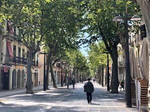 Sant Jordi es trasllada a les xarxes i els balcons