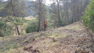 Sant Pere de Ribes adequa 9 camins per a minimitzar el risc d’incendi al bosc. Ajt Sant Pere de Ribes