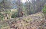 Sant Pere de Ribes adequa 9 camins per a minimitzar el risc d’incendi al bosc. Ajt Sant Pere de Ribes